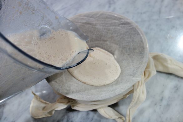 apple walnut milk_1