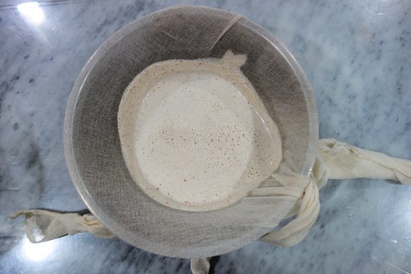 apple walnut milk_5 apple walnut milk