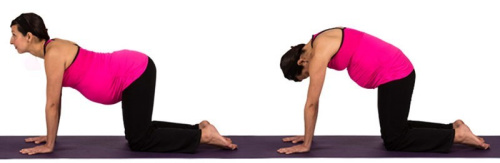 pregnancy back pain stretch