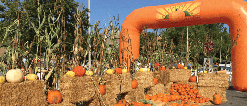 best pumpkin patches in Southern California